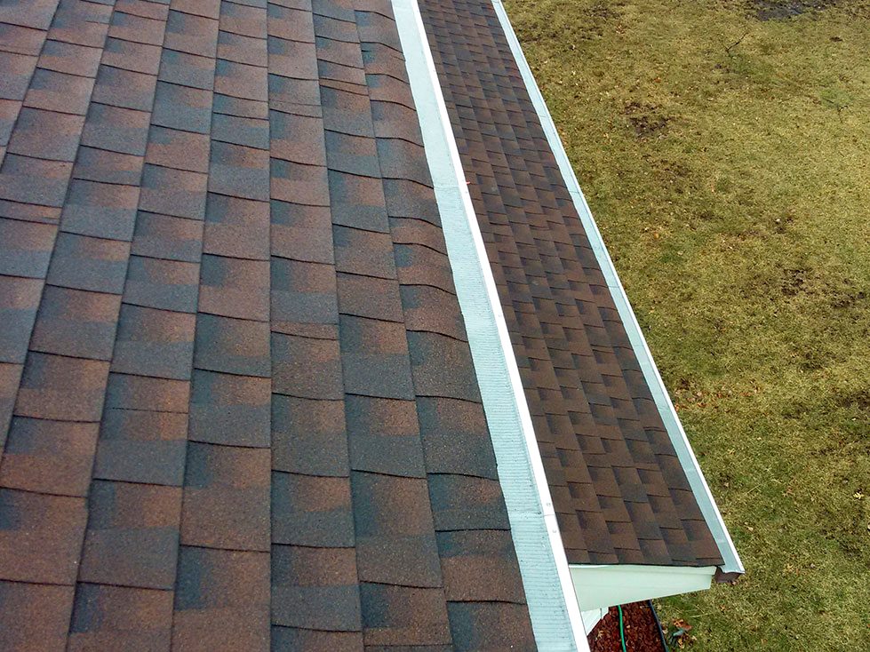 Gutter Cleaning